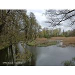 Zdjęcia użytkowników Oppo Reno 3 CPH2043