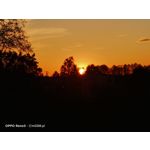 Zdjęcia użytkowników Oppo Reno 3 CPH2043