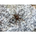 Zdjęcia użytkowników Oppo Reno 3 CPH2043