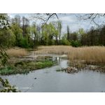 Zdjęcia użytkowników Oppo Reno 3 CPH2043