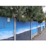 Zdjęcia użytkowników Oppo Reno 3 CPH2043