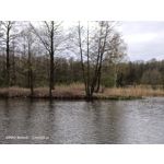 Zdjęcia użytkowników Oppo Reno 3 CPH2043