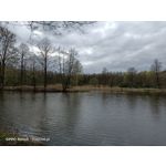 Zdjęcia użytkowników Oppo Reno 3 CPH2043