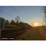 Zdjęcia użytkowników Oppo Reno 3 CPH2043