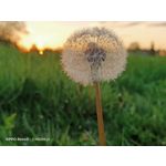 Zdjęcia użytkowników Oppo Reno 3 CPH2043