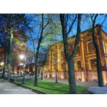 Zdjęcia użytkowników Oppo Reno 3 CPH2043