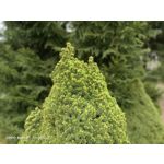 Zdjęcia użytkowników Oppo Reno 3 CPH2043