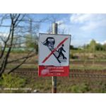 Zdjęcia użytkowników Oppo Reno 3 CPH2043