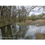 Zdjęcia użytkowników Oppo Reno 3 CPH2043