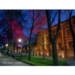 Zdjęcia użytkowników Oppo Reno 3 CPH2043