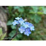 Zdjęcia użytkowników Oppo Reno 3 CPH2043