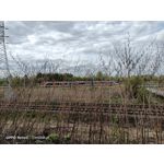 Zdjęcia użytkowników Oppo Reno 3 CPH2043