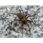 Zdjęcia użytkowników Oppo Reno 3 CPH2043