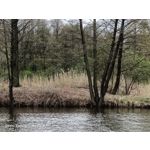 Zdjęcia użytkowników Oppo Reno 3 CPH2043