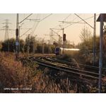 Zdjęcia użytkowników Oppo Reno 3 CPH2043