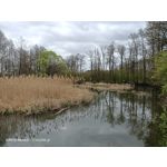 Zdjęcia użytkowników Oppo Reno 3 CPH2043