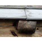 Zdjęcia użytkowników Oppo Reno 3 CPH2043