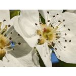 Zdjęcia użytkowników Oppo Reno 3 CPH2043