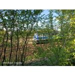 Zdjęcia użytkowników Oppo Reno 3 CPH2043