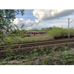 Zdjęcia użytkowników Oppo Reno 3 CPH2043