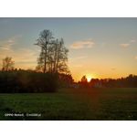 Zdjęcia użytkowników Oppo Reno 3 CPH2043