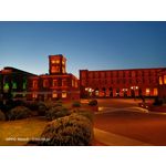 Zdjęcia użytkowników Oppo Reno 3 CPH2043