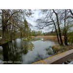 Zdjęcia użytkowników Oppo Reno 3 CPH2043