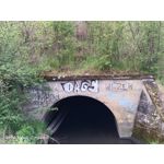 Zdjęcia użytkowników Oppo Reno 3 CPH2043