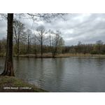 Zdjęcia użytkowników Oppo Reno 3 CPH2043