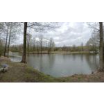 Zdjęcia użytkowników Oppo Reno 3 CPH2043