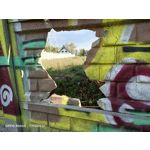 Zdjęcia użytkowników Oppo Reno 3 CPH2043