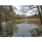 Zdjęcia użytkowników Oppo Reno 3 CPH2043