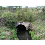 Zdjęcia użytkowników Oppo Reno 3 CPH2043