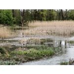 Zdjęcia użytkowników Oppo Reno 3 CPH2043