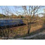 Zdjęcia użytkowników Oppo Reno 3 CPH2043