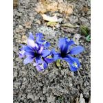 ZDJĘCIA Z TEGO TELEFONU