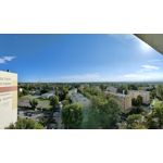 Zdjęcia użytkowników Oppo Reno 4 Pro CPH2089