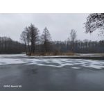 Zdjęcia użytkowników Oppo Reno 5 5G