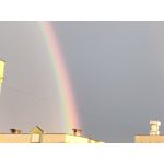 Zdjęcia użytkowników Oppo Reno 5 5G