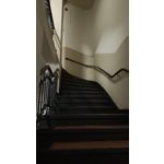 Zdjęcia użytkowników Oppo Reno 5 Lite