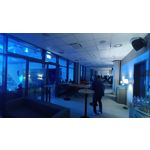 Zdjęcia użytkowników Oppo Reno 5 Lite