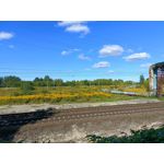 Zdjęcia użytkowników Oppo Reno 6 5G Zdjęcia użytkowników Oppo Reno 6 5G