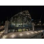 Zdjęcia użytkowników Oppo Reno 6 5G Zdjęcia użytkowników Oppo Reno 6 5G