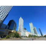 Zdjęcia użytkowników Oppo Reno 6 5G Zdjęcia użytkowników Oppo Reno 6 5G