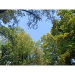 Zdjęcia użytkowników Oppo Reno 6 5G Zdjęcia użytkowników Oppo Reno 6 5G