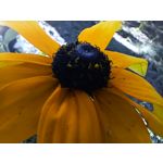 Zdjęcia użytkowników Oppo Reno 6 5G Zdjęcia użytkowników Oppo Reno 6 5G