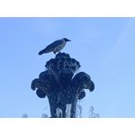 Zdjęcia użytkowników Oppo Reno 6 5G Zdjęcia użytkowników Oppo Reno 6 5G