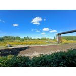 Zdjęcia użytkowników Oppo Reno 6 5G Zdjęcia użytkowników Oppo Reno 6 5G