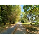 Zdjęcia użytkowników Oppo Reno 6 5G Zdjęcia użytkowników Oppo Reno 6 5G