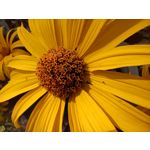 Zdjęcia użytkowników Oppo Reno 6 5G Zdjęcia użytkowników Oppo Reno 6 5G